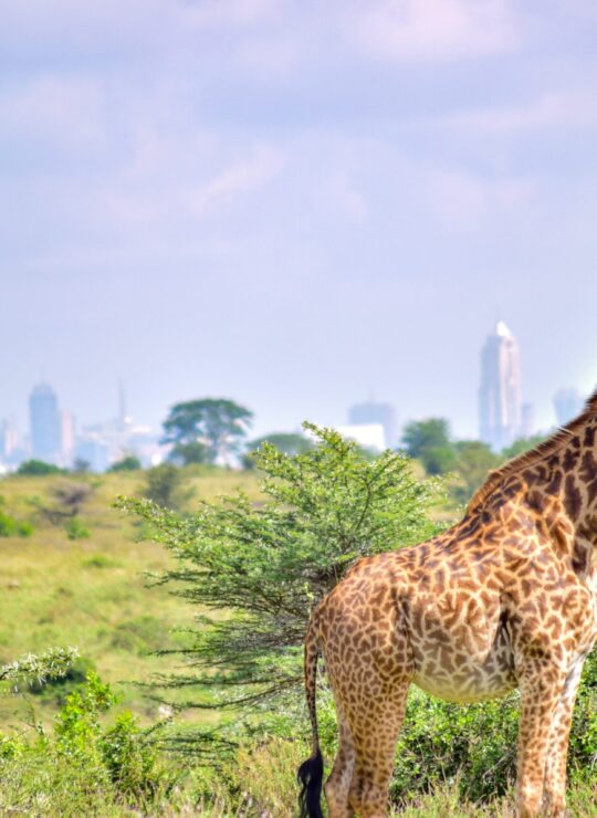 Nairobi