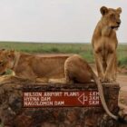 Nairobi National Park