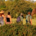 Amboseli National Park