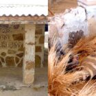 Lake Turkana (Jade Sea)